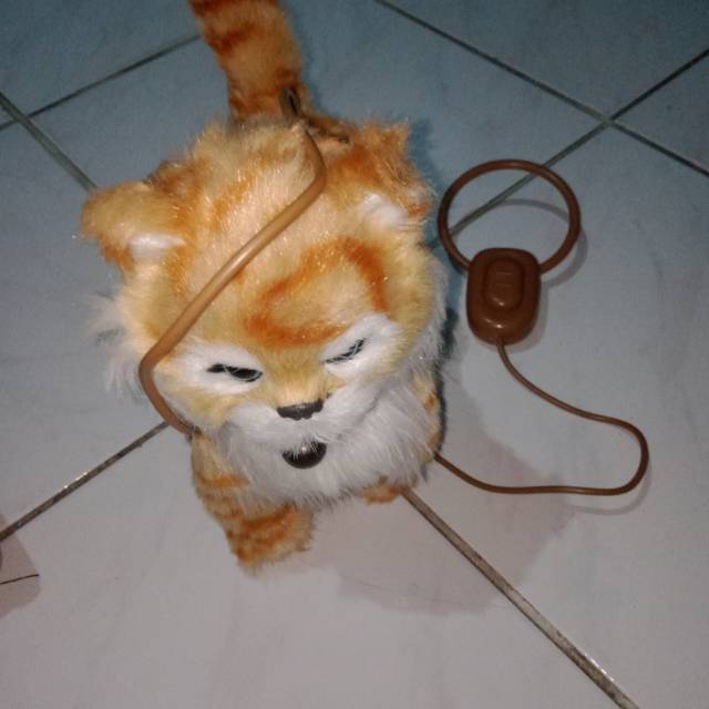 Mainan kucing bisa jalan