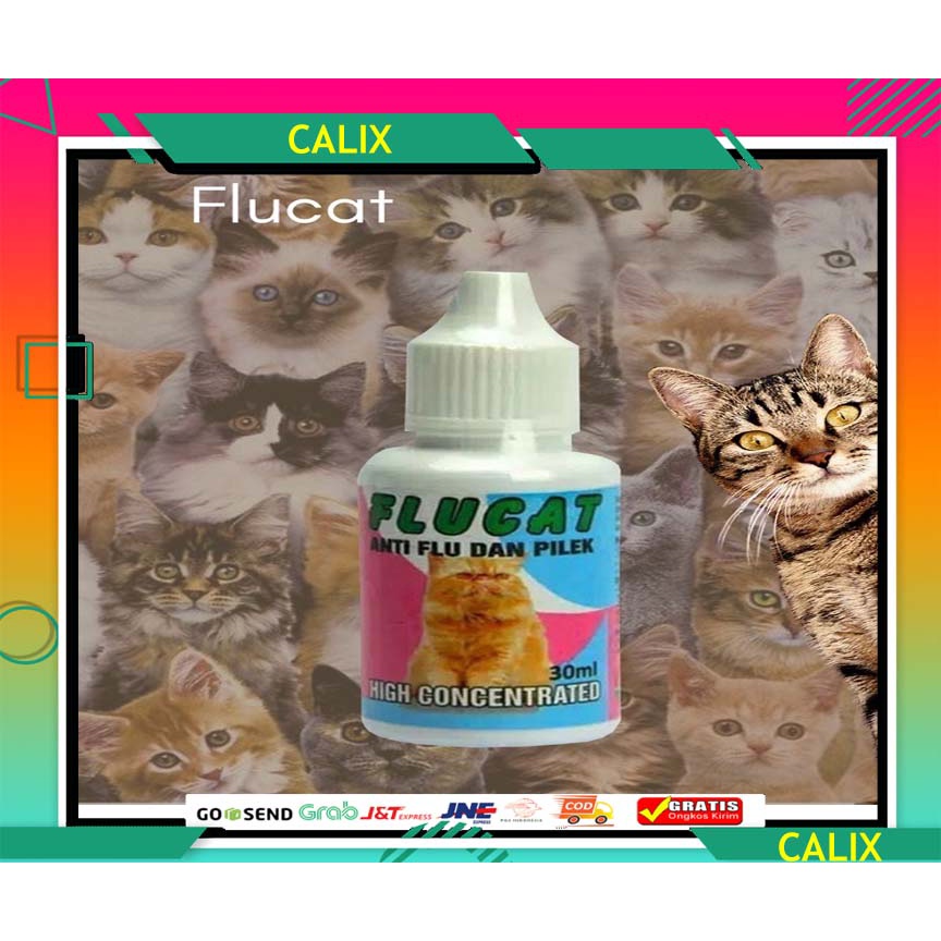 FLUCAT Obat flu dan batuk kucing 30ml bersin-bersin, demam tinggi, nafsu makan hilang dan depresi