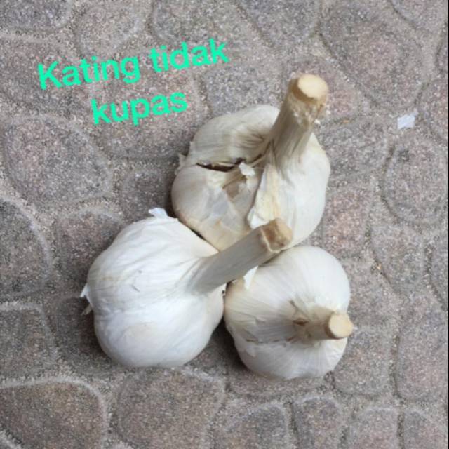 

Bawang Putih Kating Super 1KG