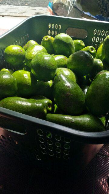 Credomenstore 7465 Kemeja Batik Pria Lengan Panjang Hitam Coklat