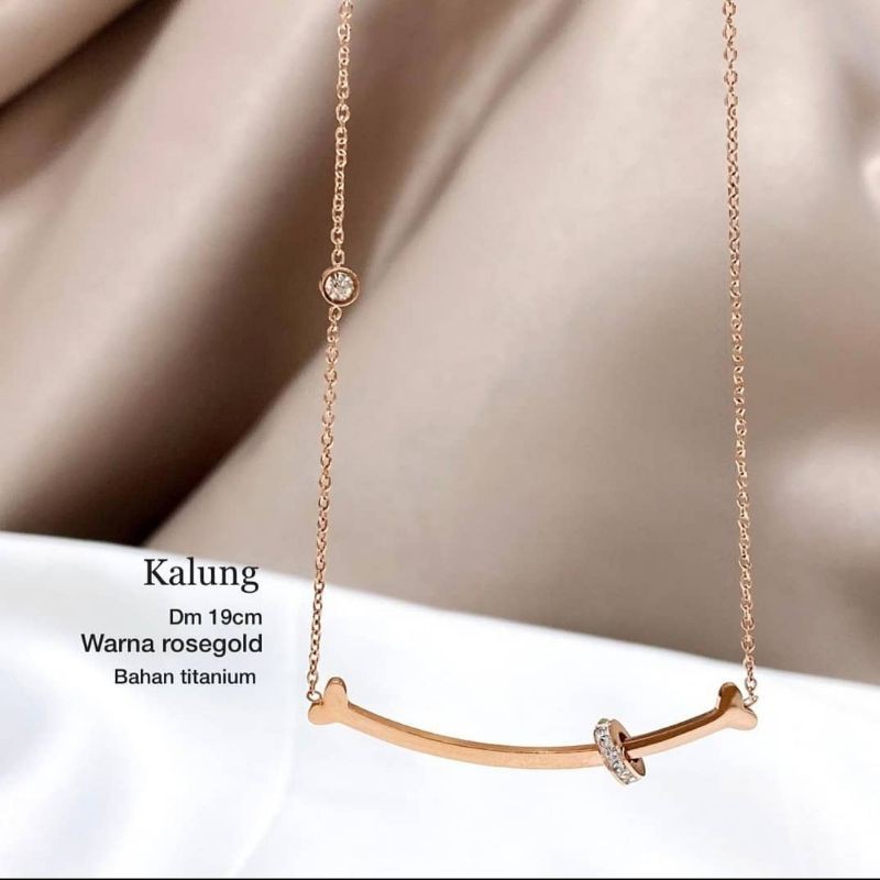 Kalung Rantai Titanium Asli Premium Quality Anti karat anti alergi Stainless steel 12