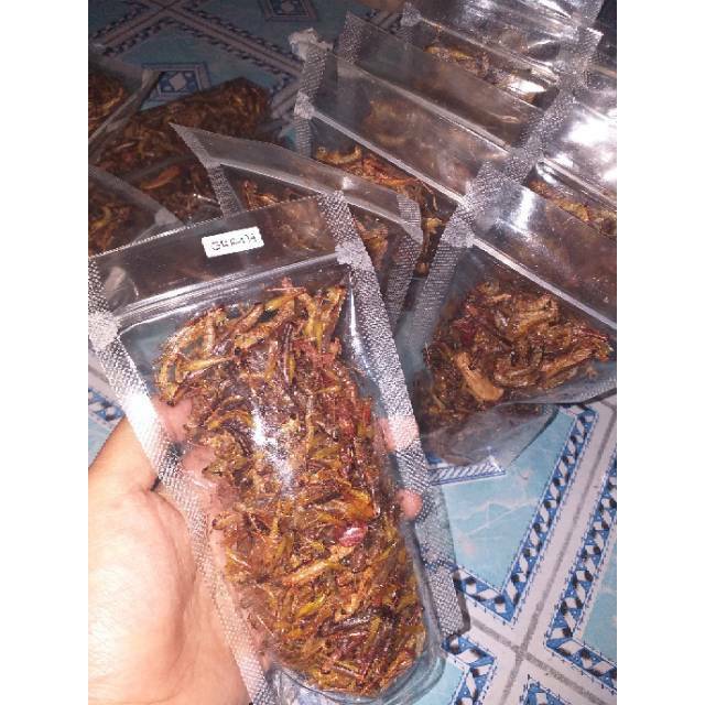 

BELALANG GORENG / WALANG GORENG 40gr RASA GURIH TIDAK PEDAS