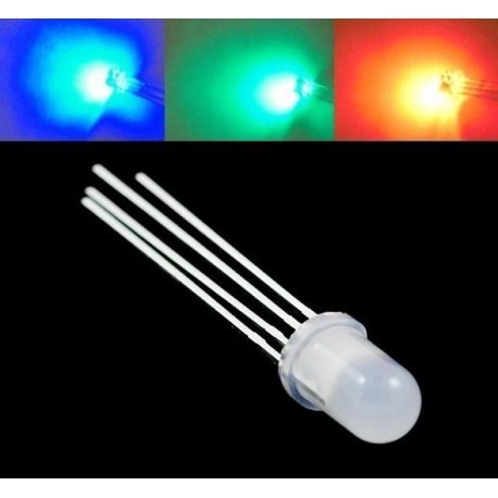 LED RGB 5mm Common Anode Cathode 4 Pin Tri Color Diffused Anoda Katoda 4p p 5 mm