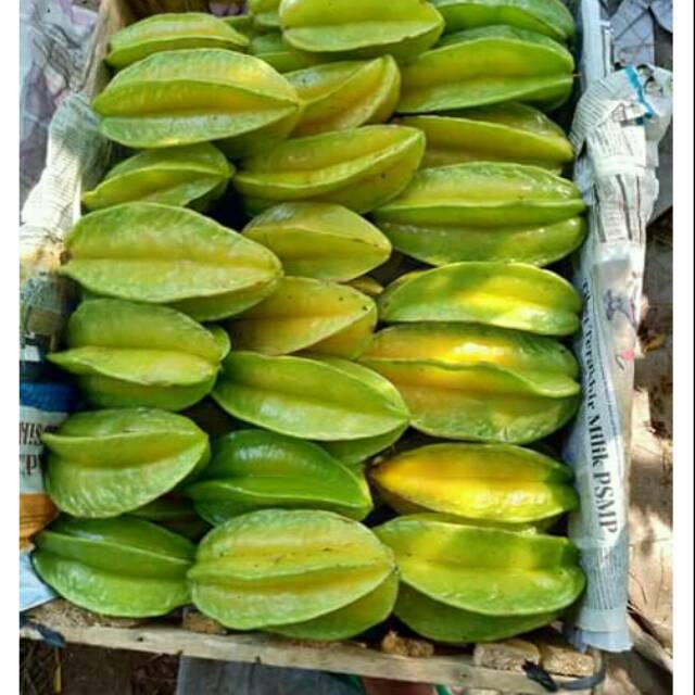 

Buah Blimbing Segar 1 kg