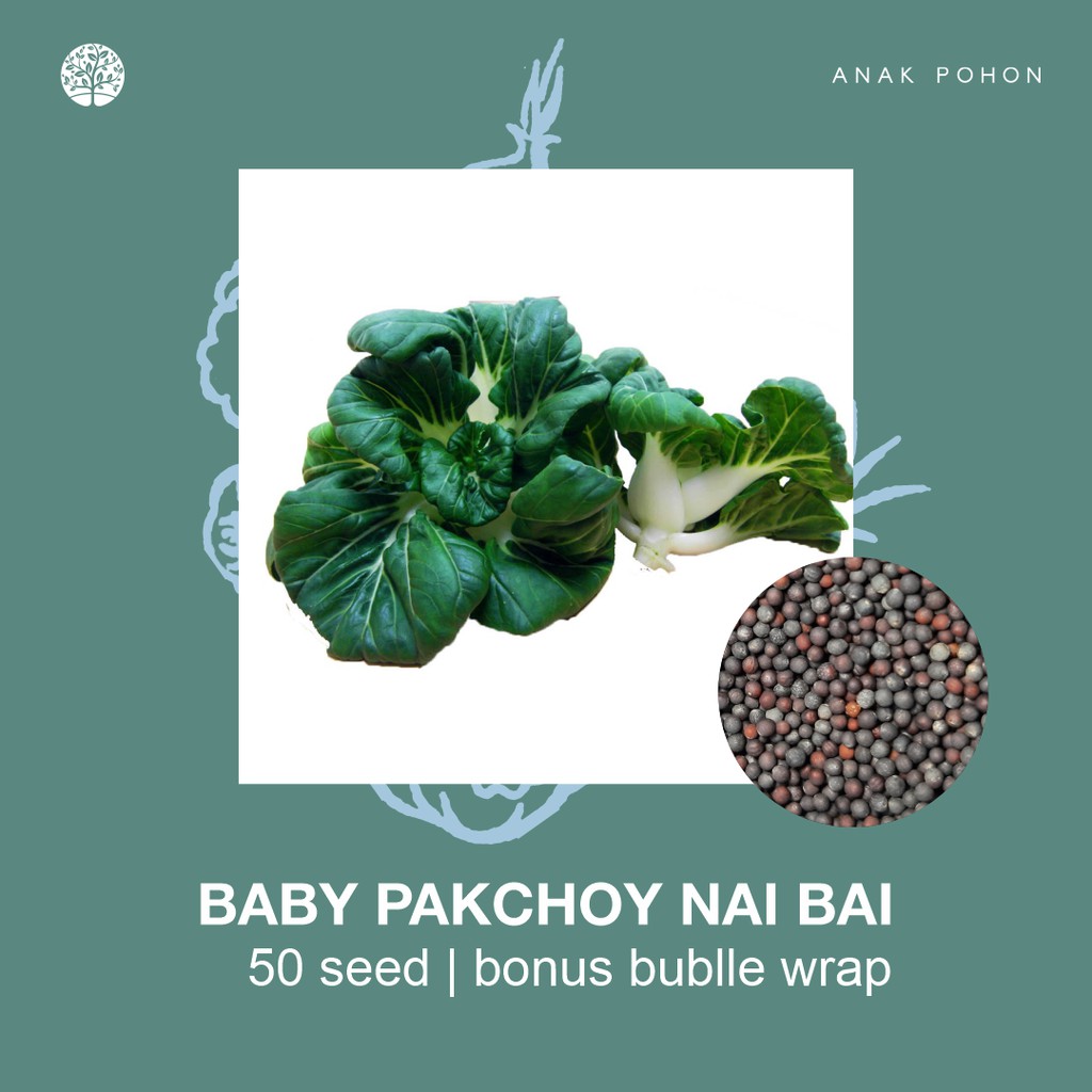 SERBA SERIBU - Benih Bibit Biji - Paket Benih Sayuran DAUN Termurah Kangkung Sawi Selada Seledri Kol-Baby Pak Choy Naibai