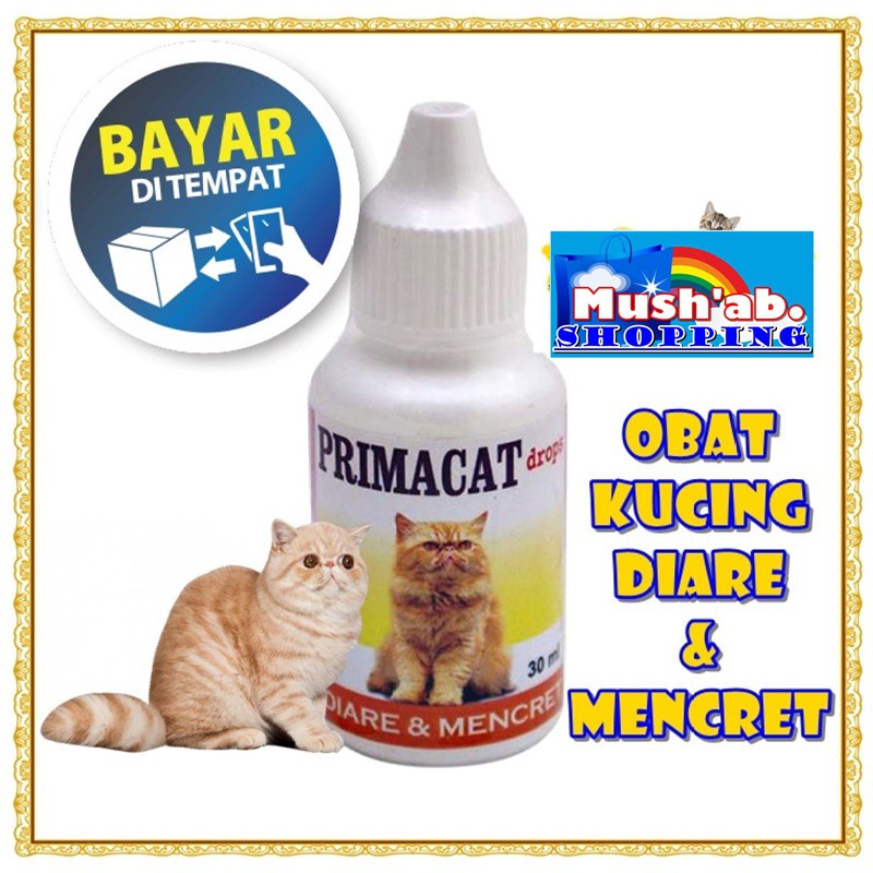 Obat Kucing Obat Anak Kucing Sakit Diare Mencret Berair Infeksi Saluran Pencernaan PRIMACAT 30ML