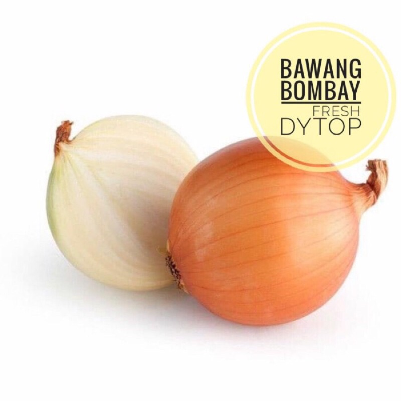 

Bawang Bombay Super Fresh Segar