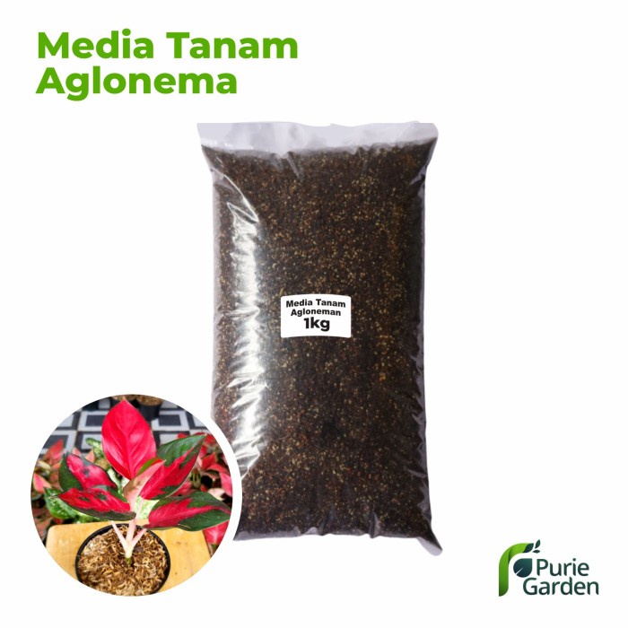 Media Tanam Organik Aglonema Praktis Siap Pakai 1Kg PG SBY