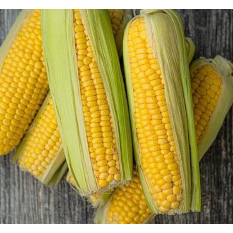 

Jagung Manis 500gram