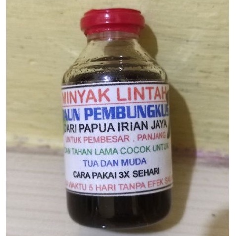 Herbal Minyak Lintah Daun Pembungkus dari Papua Irian Jaya