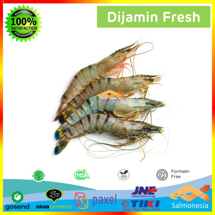 

Premium Seafood Udang Pancet Segar Sz 40 - 50 /Udang Tiger Prawn Murah - 500 gram