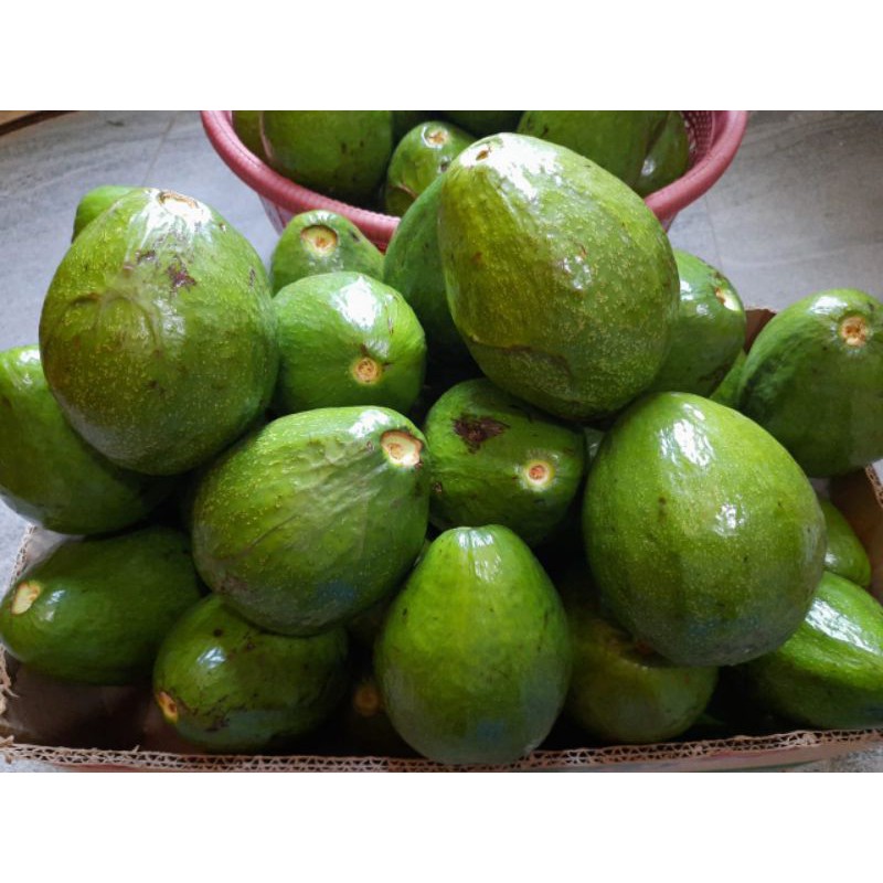 

Alpukat mentega fresh(mentah) 1kg isi 2/3