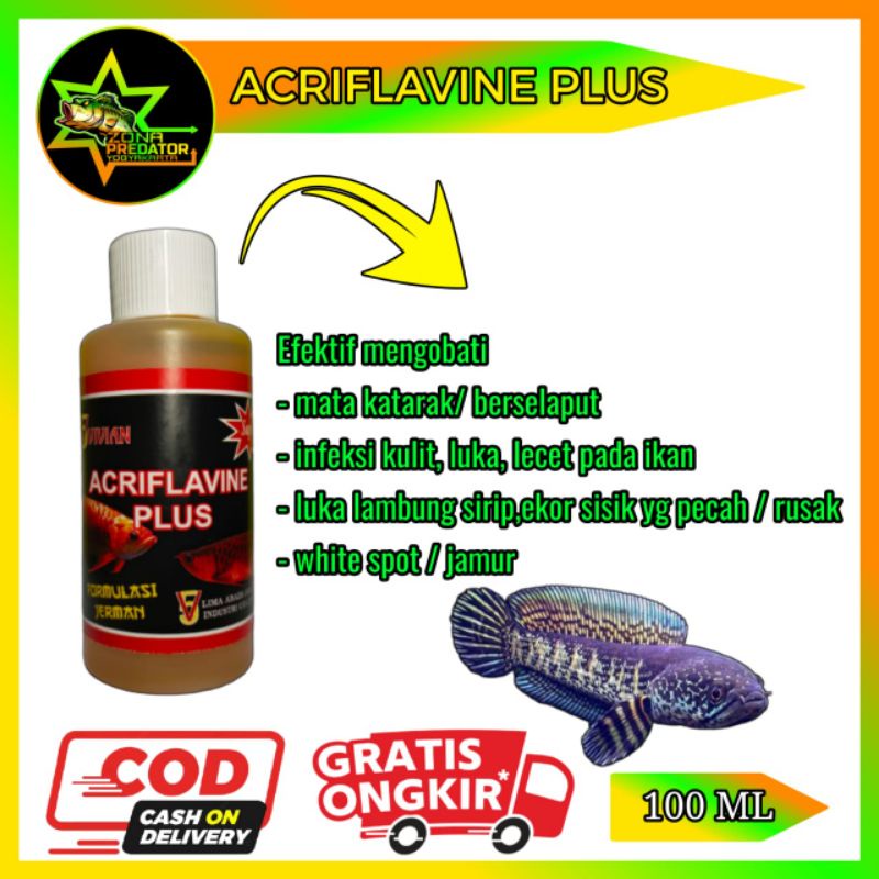 OBAT IKAN HIAS ACRIFLAVINE PLUS ANTI JAMUR 100 ML