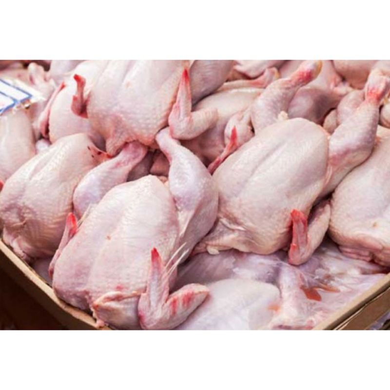 

PASAR MURAH - AYAM BOILER 1 Ekor