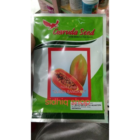 benih pepaya bangkok