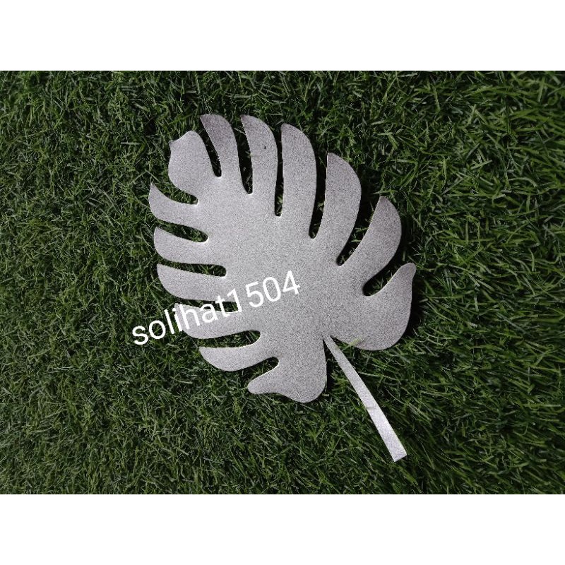 Daun janda bolong besar