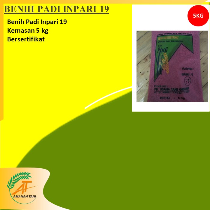 BENIH PADI INPARI 19 BERLABEL BERSERTIFIKAT UNGGUL