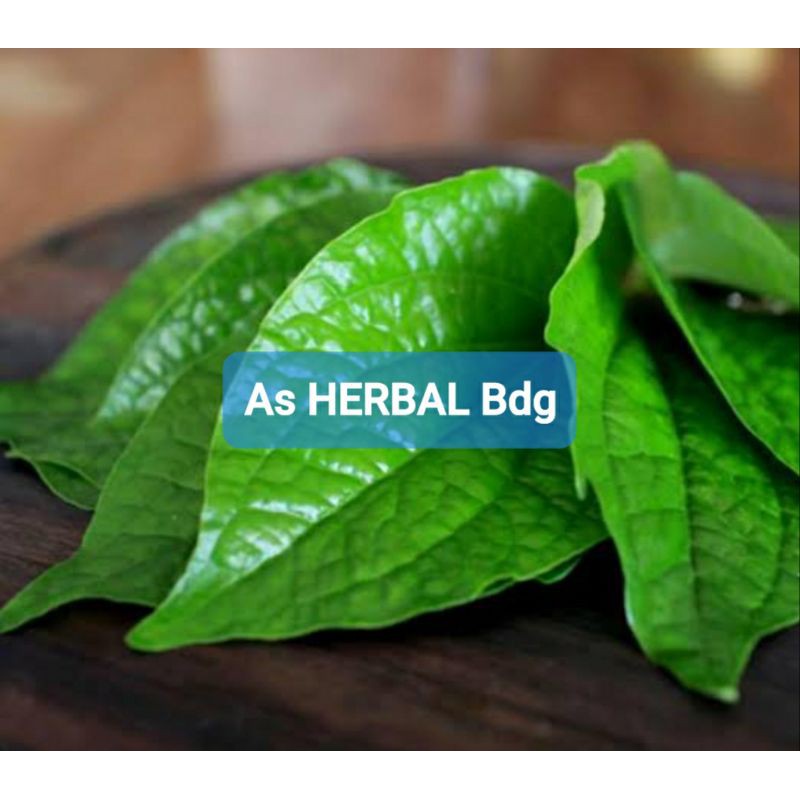 

Daun Sirih Hijau Segar Per 500 gram-az