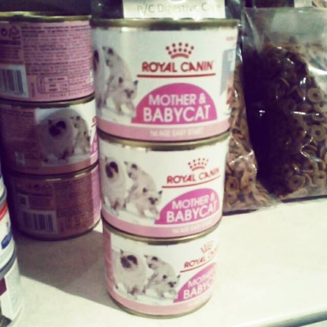 Royal Canin Mother and Baby Cat