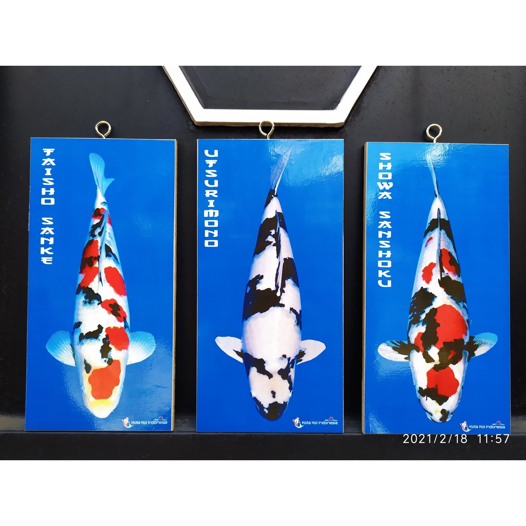 001 Paket hemat Hiasan Dinding bergambar ikan koi 10cm x 20cm