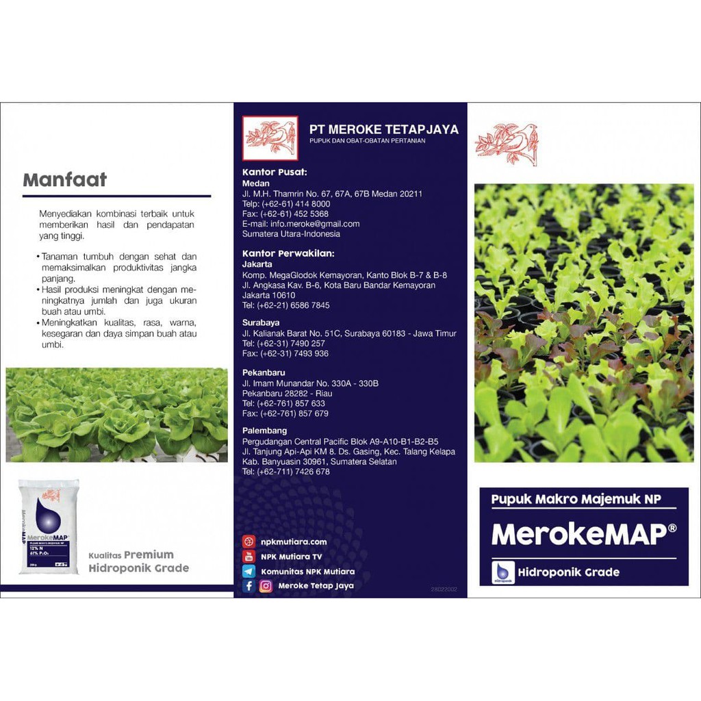 PUPUK MEROKE MAP KEMASAN PABRIK 1KG PUPUK MONO AMMONIUM PHOSPHATE HIDROPONIK GRADE