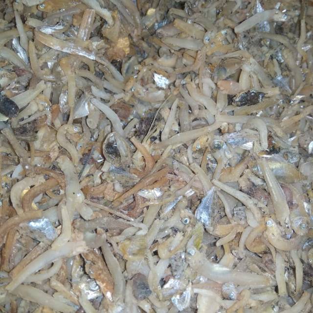 

IkanTeri murah campur2 isi 250 Gram
