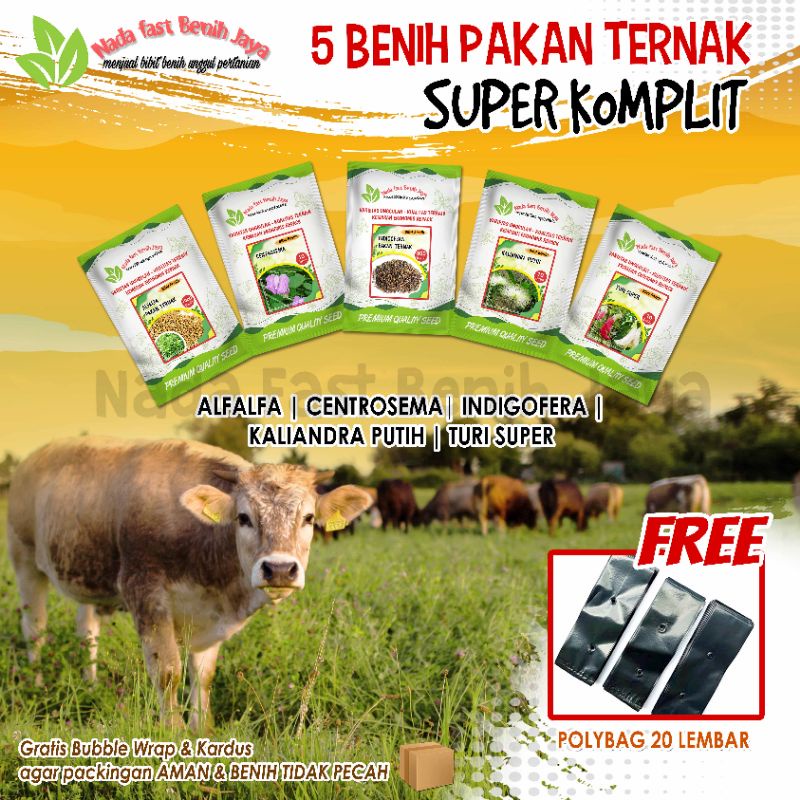 Promo benih 5 paket lengkap benih pakan ternak / bibit indigofera super / benih rumput mombaca F1 / 