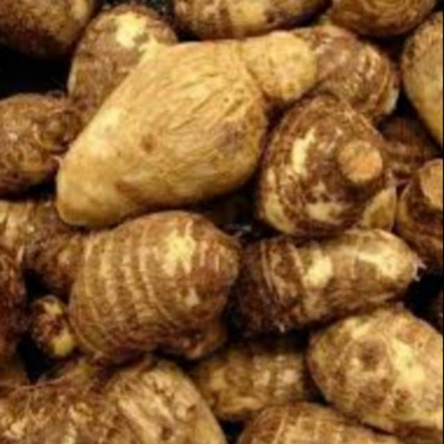 

Ubi talas empuk enak 1 kg fresh lagsung petik