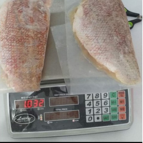 Kakap Merah /Kakap Putih Fillet Frozen