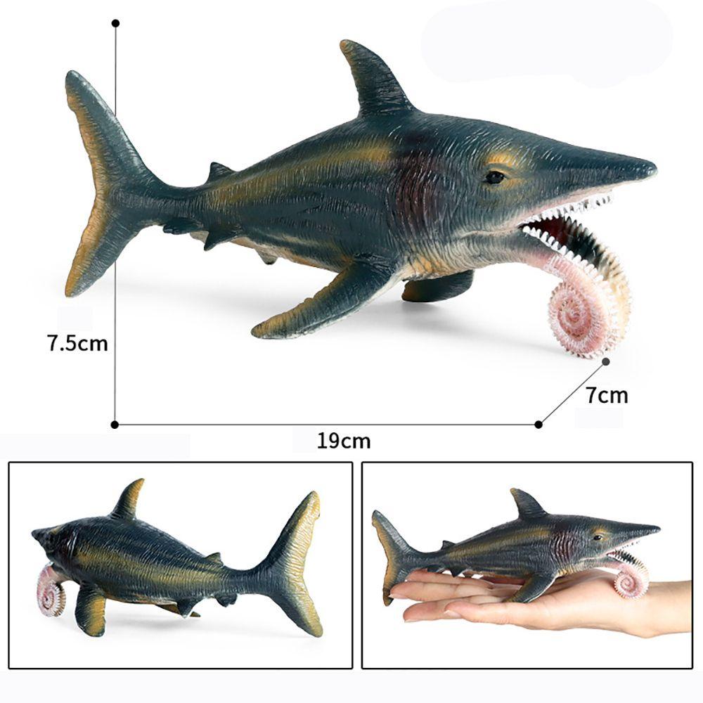 Model Helicoprion Lansekap Mikro Untuk Pembelajaran Organisme