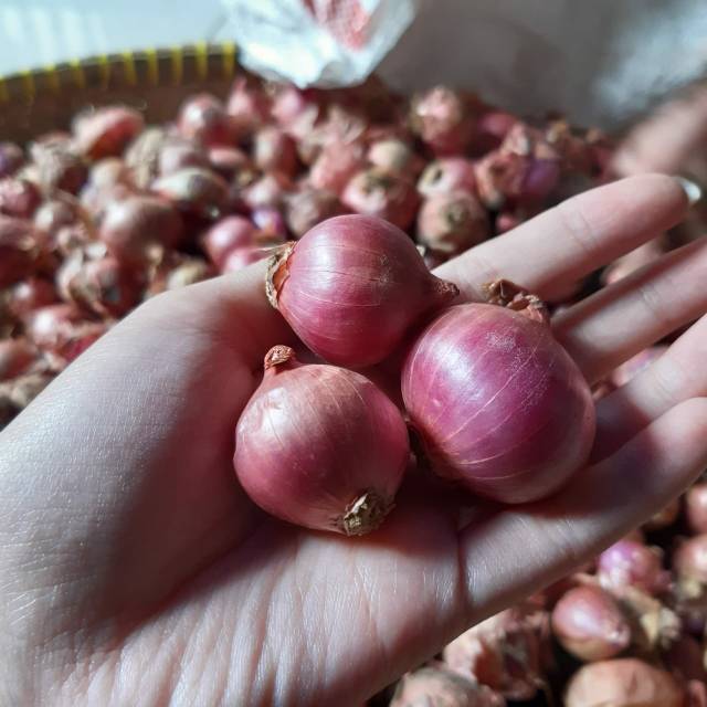 

Bawang merah super 500gram