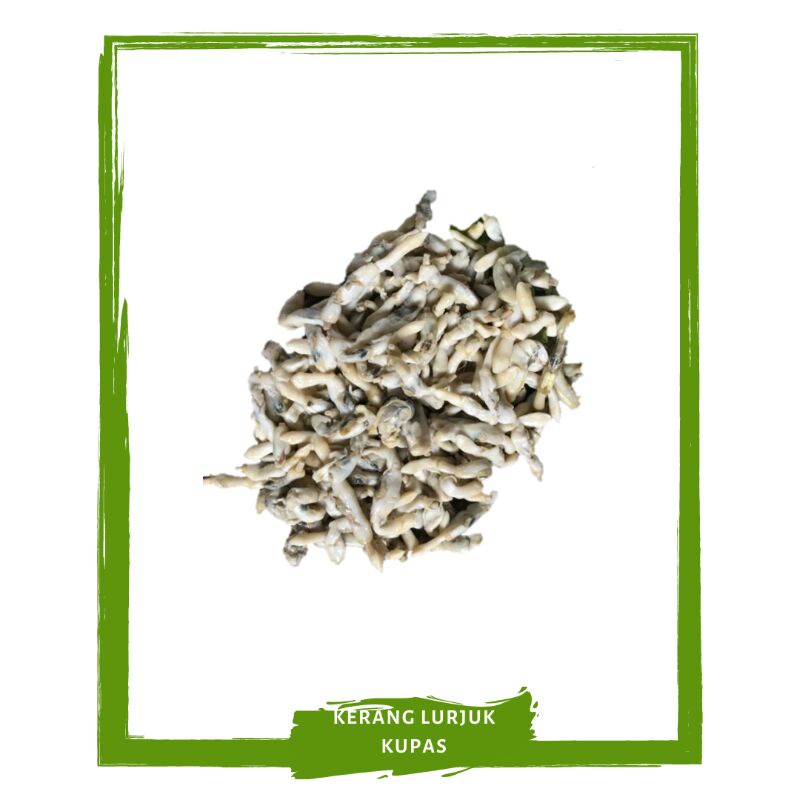 

Kerang lorjuk / lurjuk Kupas By Mallahrizwa