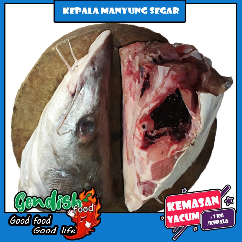 

Kepala manyung segar / kepala manyung fresh