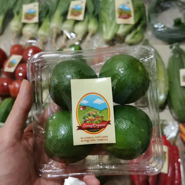 

Jeruk Nipis Organik 250gr || Lime Organic