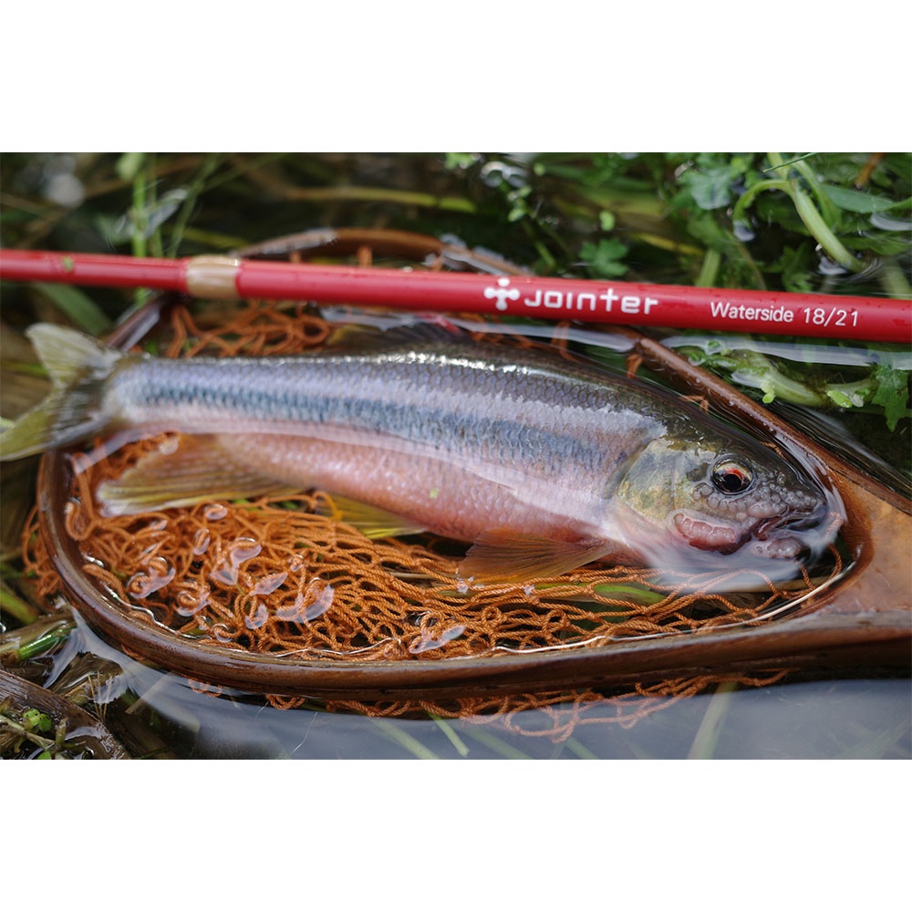 Joran Tegek Import Jointer Waterside 18/21 - Tegek Karbon - Tegek Lentur