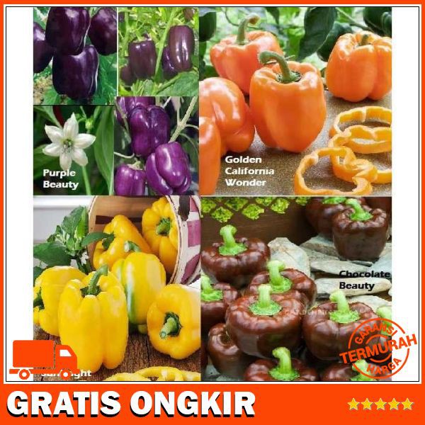 PAKET HEMAT BENIH BIBIT SAYUR PAPRIKA ISI 4 JENIS WARNA MENARIK