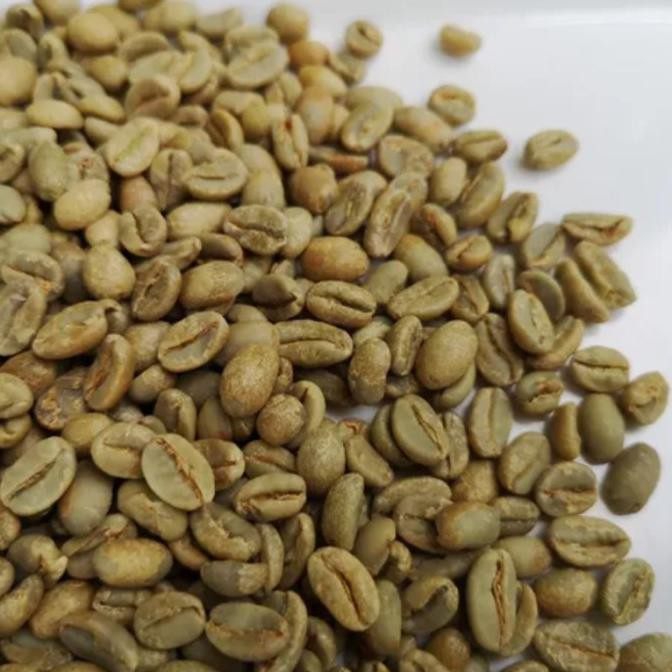 Ethiopia Bench Maji Geisha G1 Green Beans