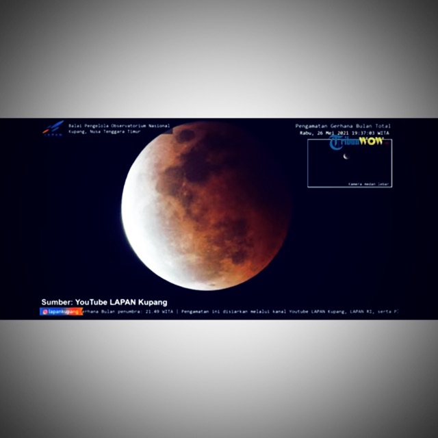 jualanmurah_jakartabagus01