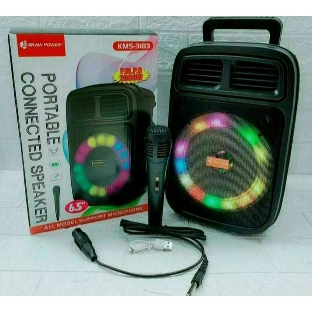 SPEAKER BRAIN POWER 3183 + MIC + REMOTE CONTROL