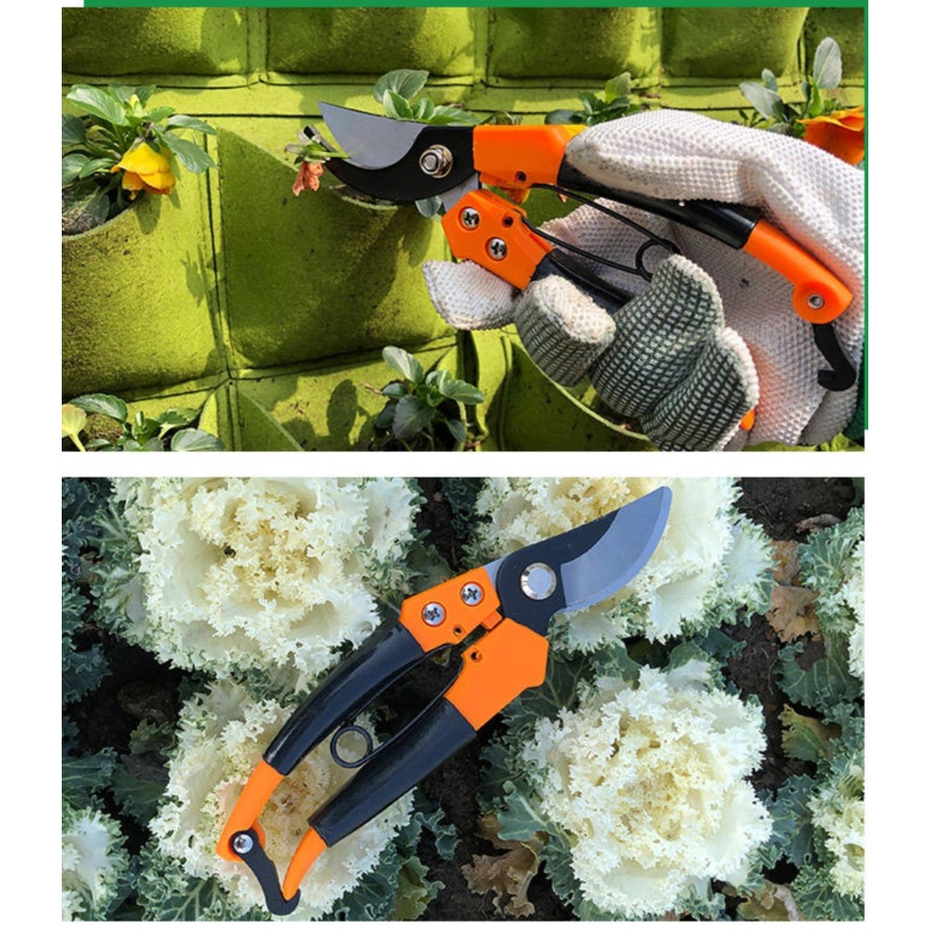 GUNTING DAHAN Kenmaster K800 Alat Potong Dahan Ranting Batang Tanaman Bunga Pruning Shears-5