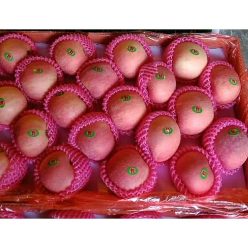 

Apel Fuji Biasa Ganda Segar dan Sehat per Box 16 Kg