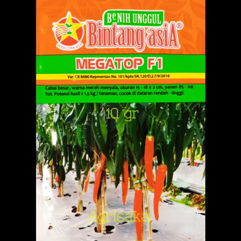 Benih Cabe Merah Besar MEGATOP F1 10 Gram - Bintang asiA