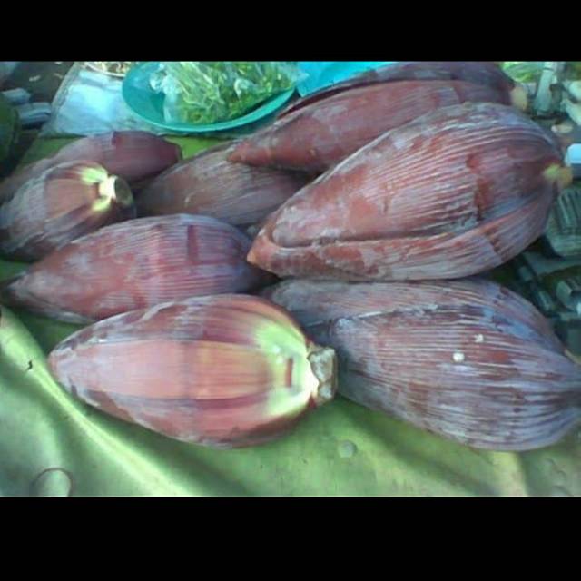 

Jantung pisang