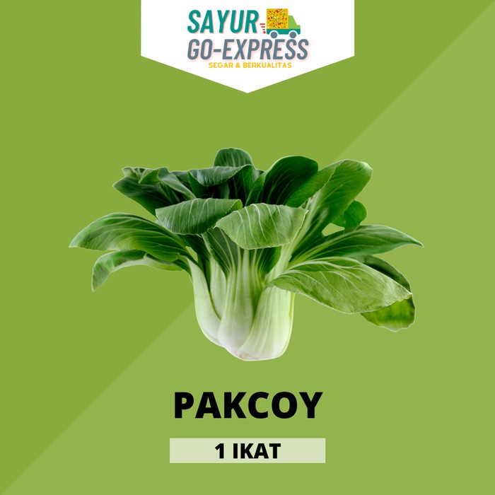 

pakcoy segar
