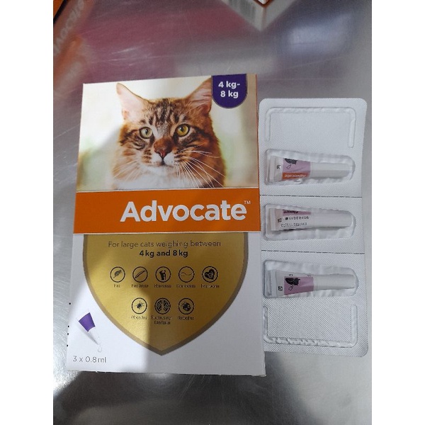 Advocate Obat Tetes Kutu Kucing (4 - 8 kg) 1Box