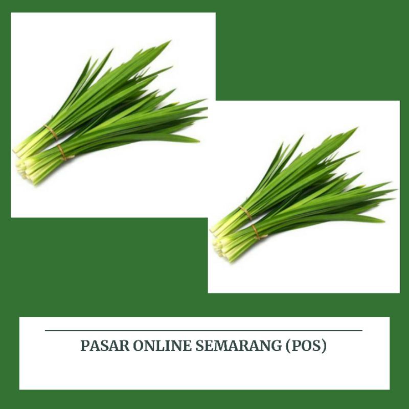 

Sayur Sayuran / Daun Pandan / Godong Pandan / Penyedap Rasa / Bumbu Dapur / Bumbu Masakan /Cod/Murah