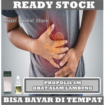 Obat Asam Lambung, GERD, Infeksi Lambung, Maag Kronis, Didpesia, Tukak Lambung, Kanker Lambung, Mag, Maah, Maagh, Sakit Tenggorokan, Mual Muntah, Perut Kembung Melilit Begah, Asli 100% Original Propolis SM Brazil