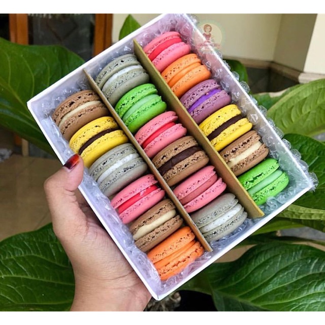 

Reguler macaron isi 18