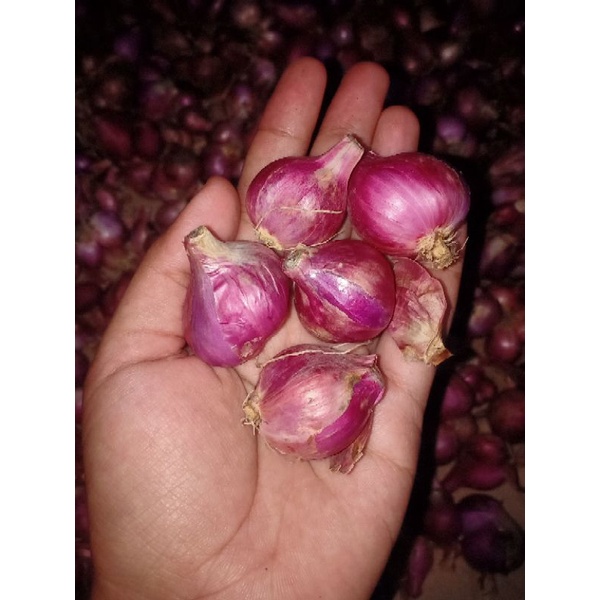 

Bawang Merah Nganjuk