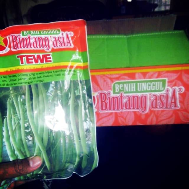 benih buncis TEWE 500gr